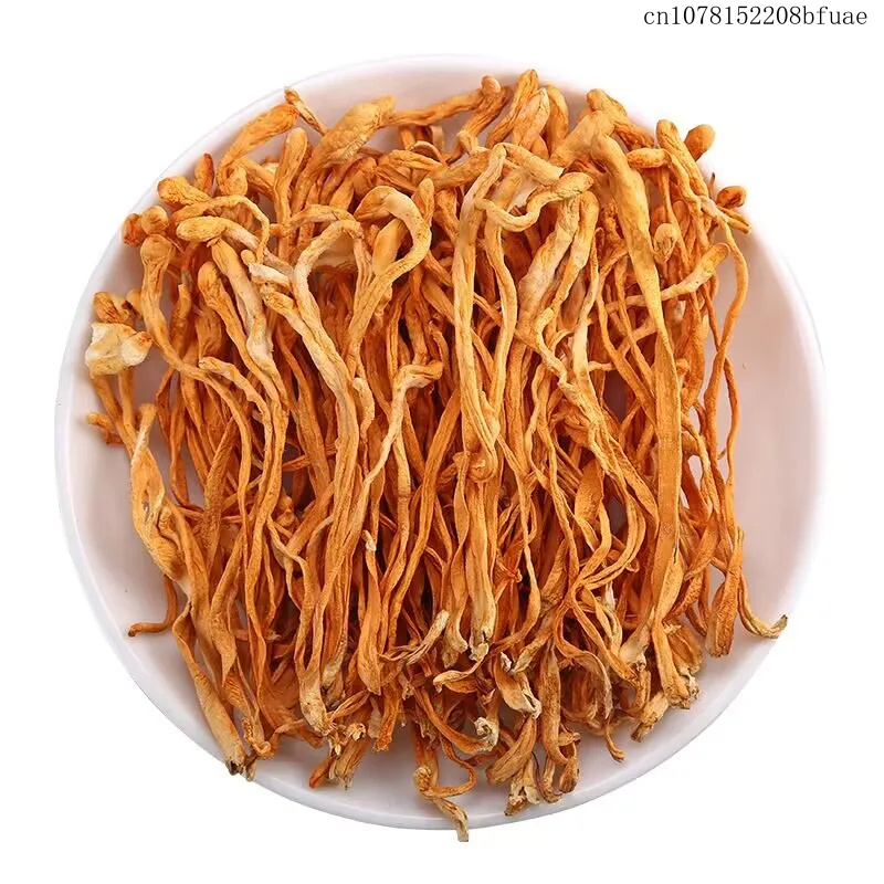 Flores de Cordyceps Secas 250g - Dried Herbs avaliação e preço